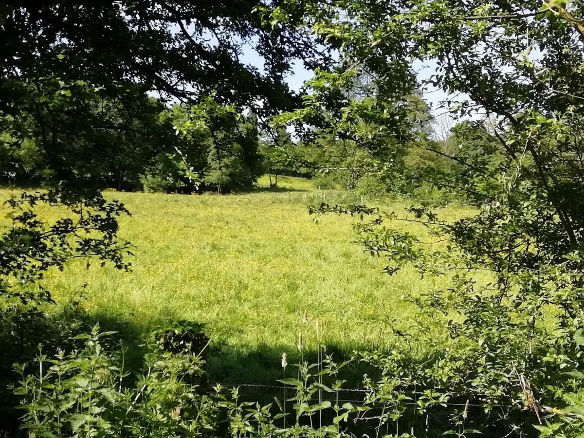 Gite Le Moulin Saint-Vaast-sur-Seulles Ngoại thất bức ảnh